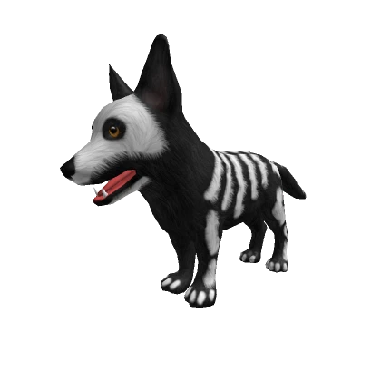 Dog Skeleton Puppy