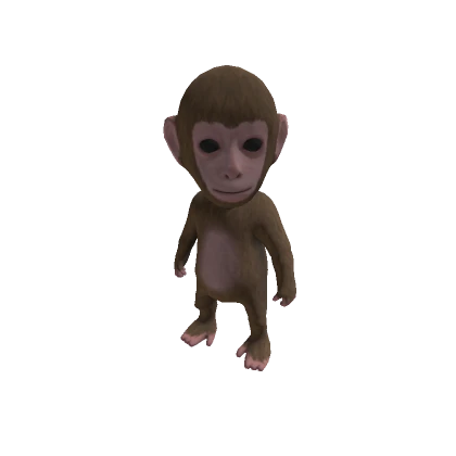 Baby Monkey