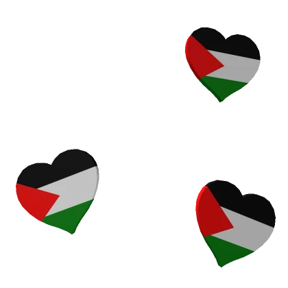 Palestine Heart