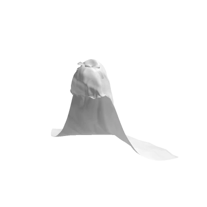 Hooded Veil - White