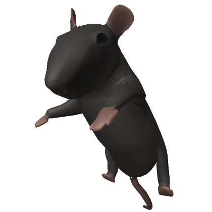 Big rat on your back