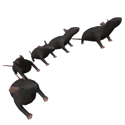 Rat army