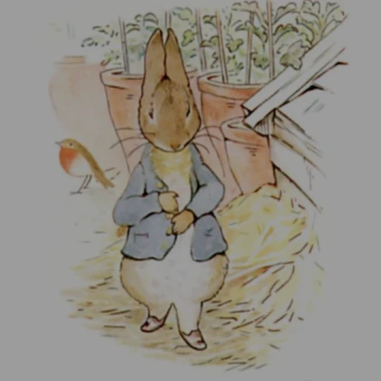 The Tale of Peter Rabbit (1902) Page 11 PFP