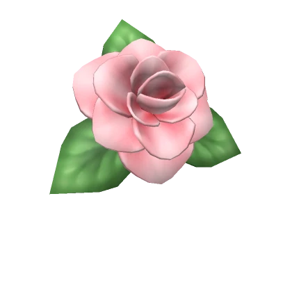 Pink Rose