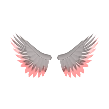 Pink Tipped Wings