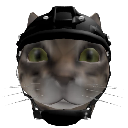 Tactical Cat Head