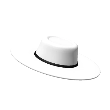 Wide Brim Hat