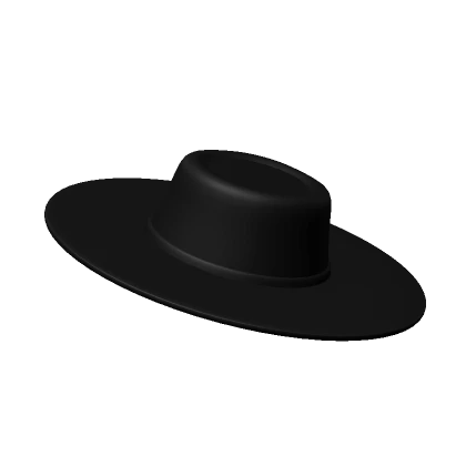 Wide Brim Hat