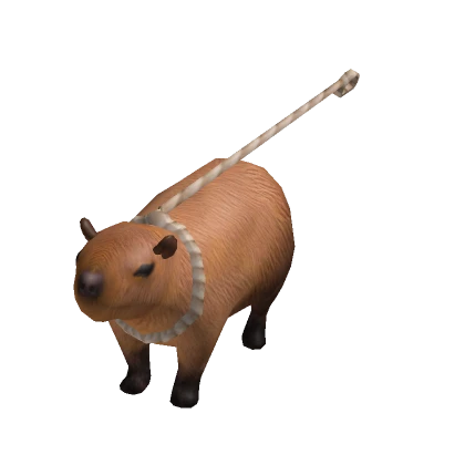 Leashed Capybara