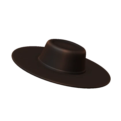 Wide Brim Hat