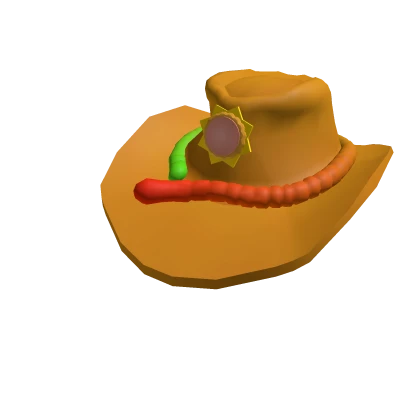 Live Show Cowboy Hat