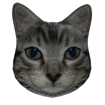 Real Cat roblox mask