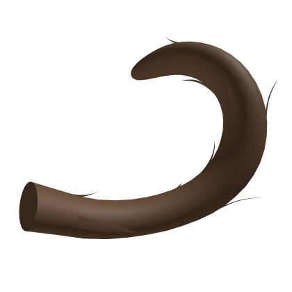 Fluffy Brown Cat Tail