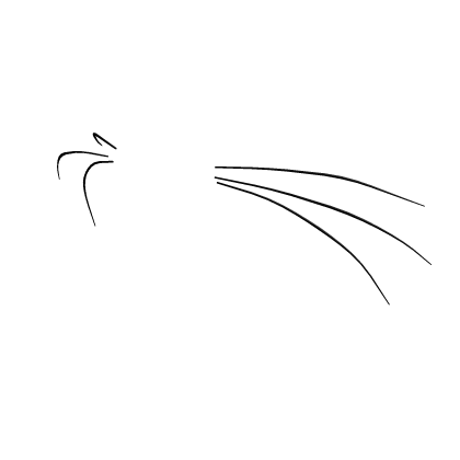 Cat Snoot Whiskers Black Addon