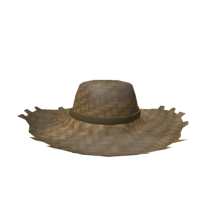 Farmer's Straw Hat