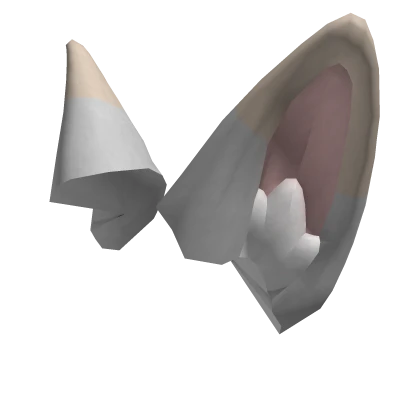 Silver Tabby Cat Ears