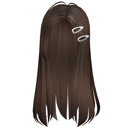 Brown Long Flowy Hair w Hairclips