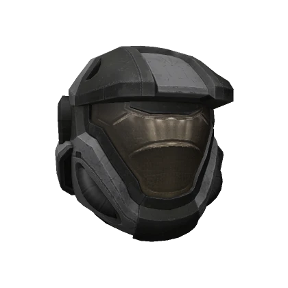 The Lone Wolf's Helmet