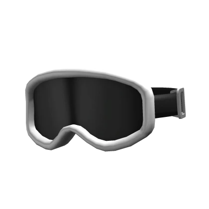 Snow Goggles