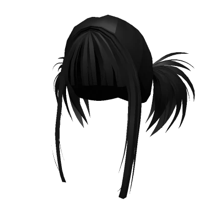 Spiky Punk Ponytails In Black