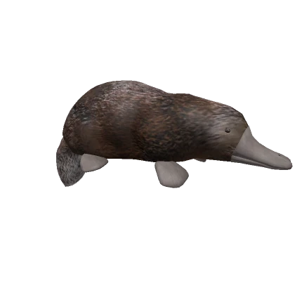 Platypus