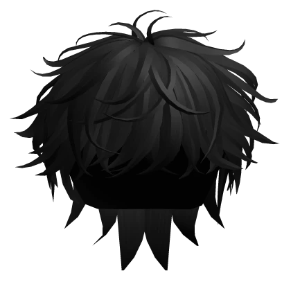 Long and Messy Popular Hair in Black