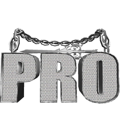 Pro Sword Fighter Chain - Silver