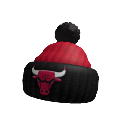 Chicago Bulls Beanie