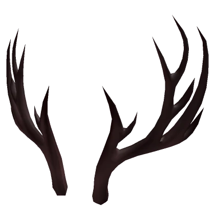 Elder Deer Antlers of Winter Brown