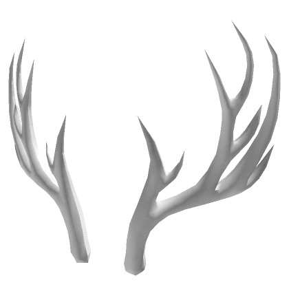 Elder Deer Antlers of Winter White