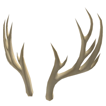 Elder Deer Antlers of Winter Tan