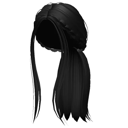 Long Braided Aesthetic Ponytail (Black)