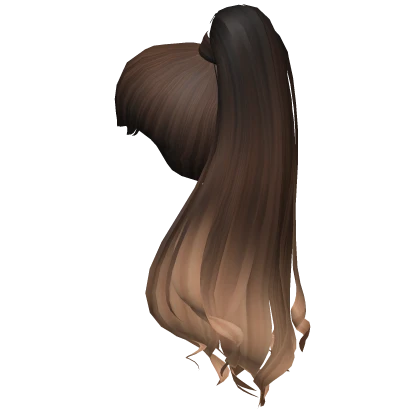 Ari's High Ponytail in Brown-Blonde Ombre