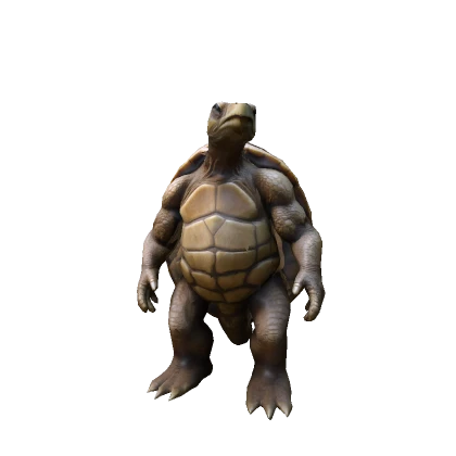 Strong Turtle