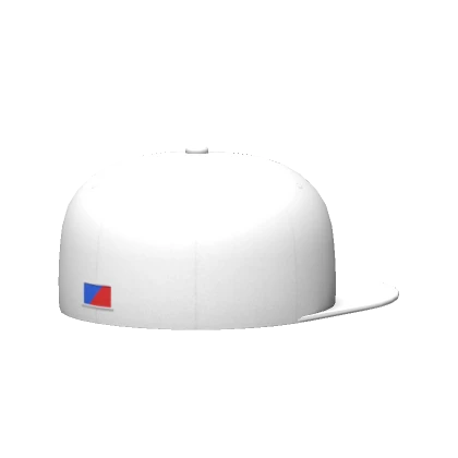 white backwards fitted cap