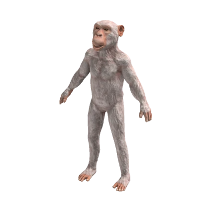 White Chimpanzee Suit Realistic Monkey Costume