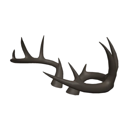 Deer Antlers