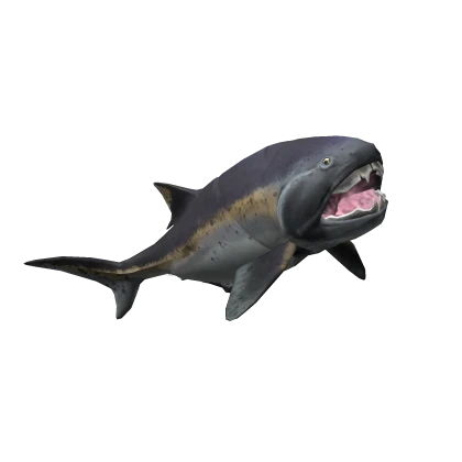 Dunkleosteus