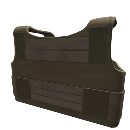 PACA Soft Body Armor [TAN]