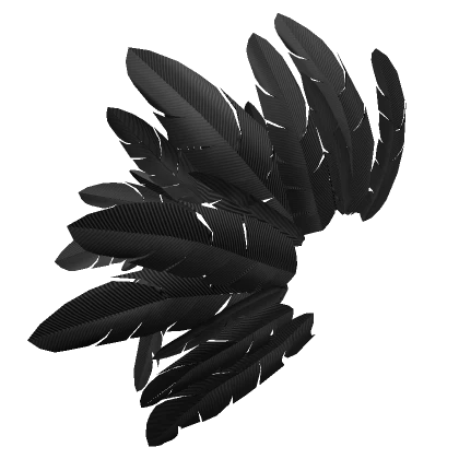 Black Feathers