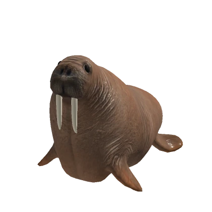 Walrus Suit