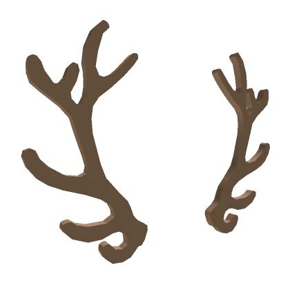 Reindeer Antlers