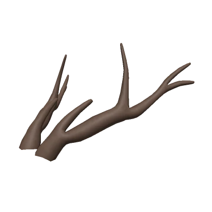 Piebald Deer Antlers