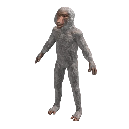 🙉 Baboon Suit Realistic Monkey Costume 🙉