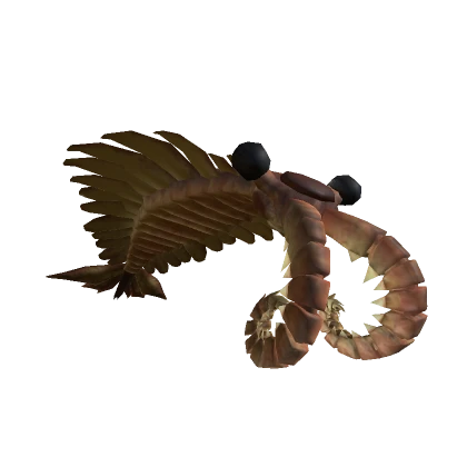 Anomalocaris