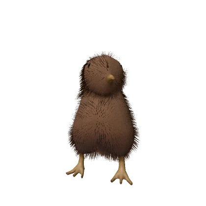 Mini Kiwi Bird
