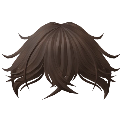 Messy Fluffy Bangs in Brown