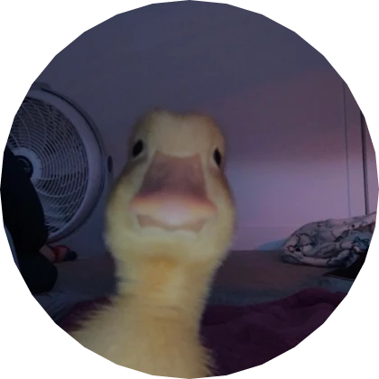 Front Facing Duck Pfp