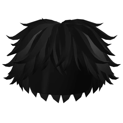 Messy Wavy Fluffy Black Hair