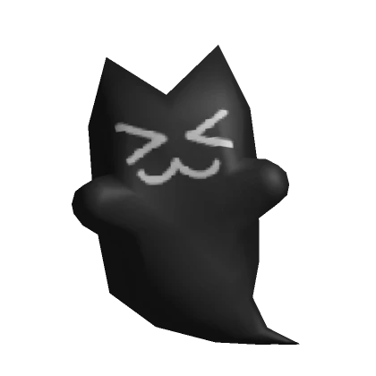 black ghost cat 🐈‍⬛